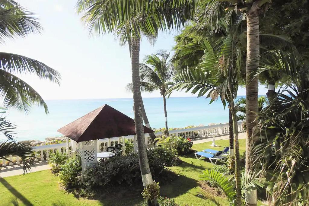 Spring Garden Apartment | Zenbreak Freshwater Beachfront 6