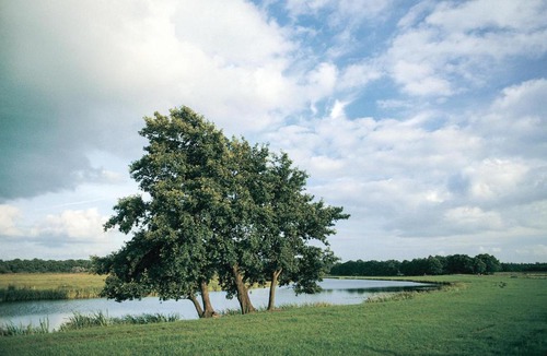 Marienberg House | Boshut