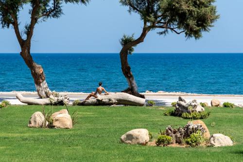 Artemis Villa, Beachfront Retreat with Heated Pool, By ThinkVilla in Tavronitis