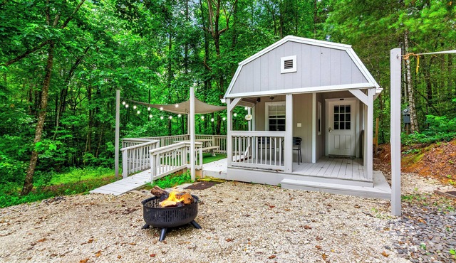 Charming bungalow Tiny Home, Fire pit, Close to town, Dog Friendly, Mountain Air in Ellijay