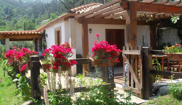 Countryside Cottage with Private Terrace in Ponte de Lima
