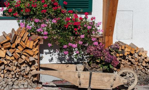 Ferienwohnung Flora Altaussee - Your Austrian Home in Altaussee