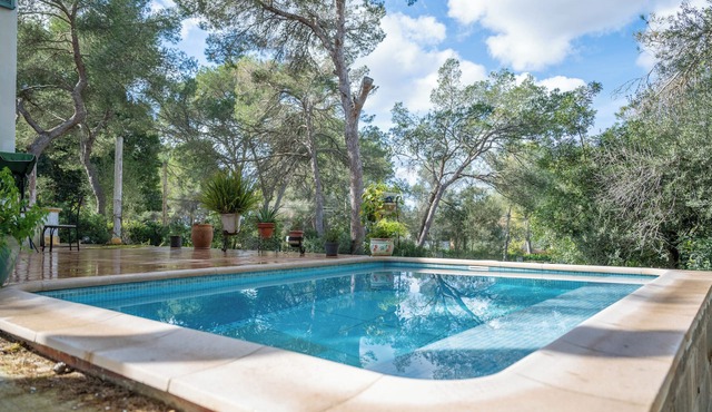 Holiday Home 'Son Oliver' with Private Pool, Terrace & Wi-Fi in Palma