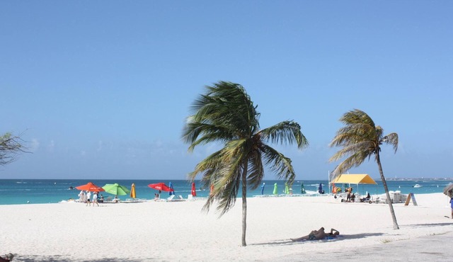Le Vent - SEABREEZE - BeachSide Resort Eagle Beach in Eagle Beach