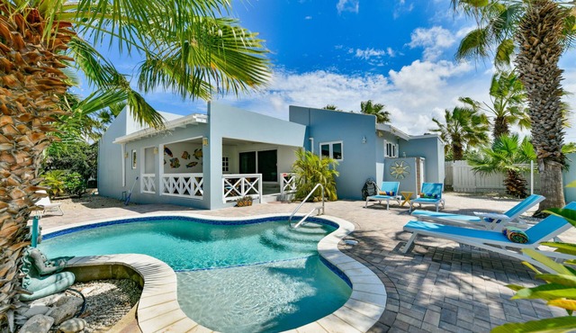 Palm trees, Private pool, Fabulous beaches. in Noord