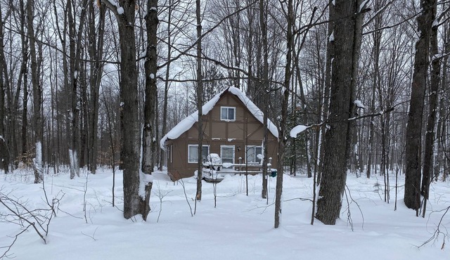 Quiet Romantic Cabin - Pet Friendly in Elmira