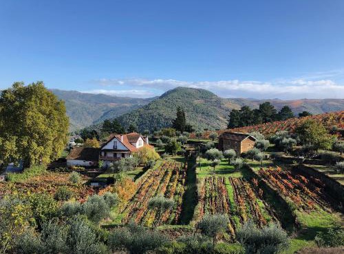 Quinta Vila Rachel - Winery in Cotas