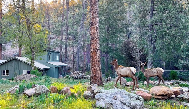 Riverside Hideaway: A Private Forest Retreat with Riverfront Elegance in Payson