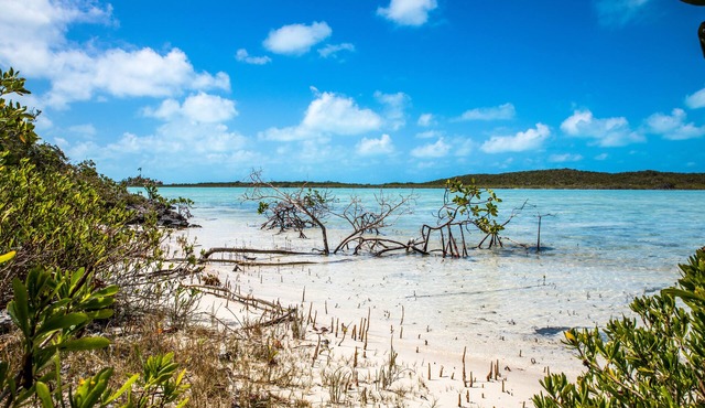 Romantic Oceanfront Cottage - Stunning Ocean and Sunset Views! in Chalk Sound