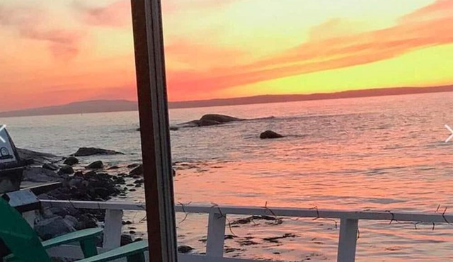 The Bluefin Cottage - Nova Scotia in Peggys Cove