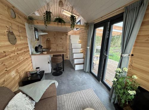 Tiny forest lodge with direct access to forest and nature in Anloo