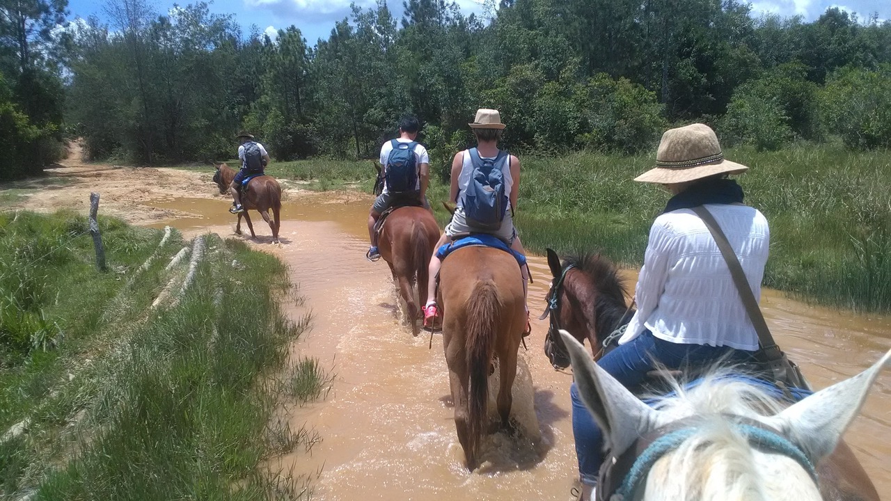 Photo of Others in Vinales