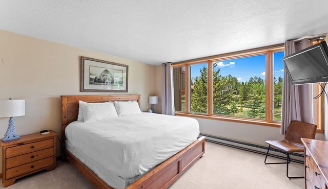 Spacious Condo w/Great Alpine Views from Private Balcony w/Gas Fireplace! in Keystone